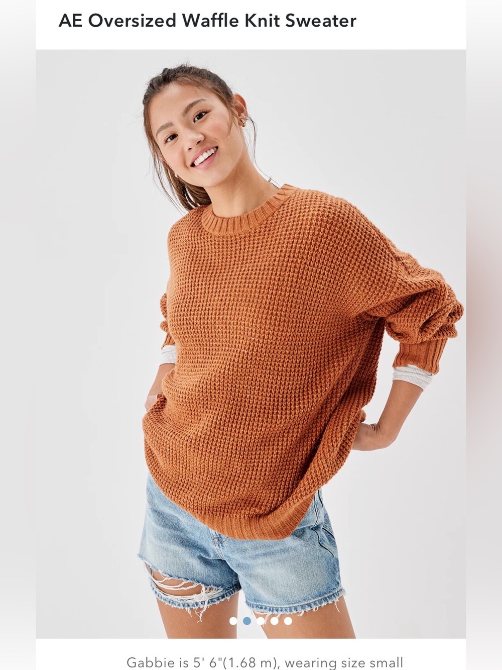 AE Oversized Waffle Knit Sweater - Rust Orange